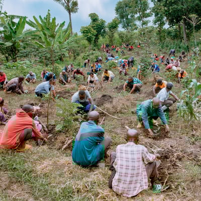 Planting