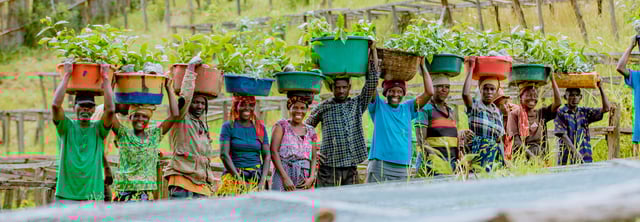 Sustainability tile header
